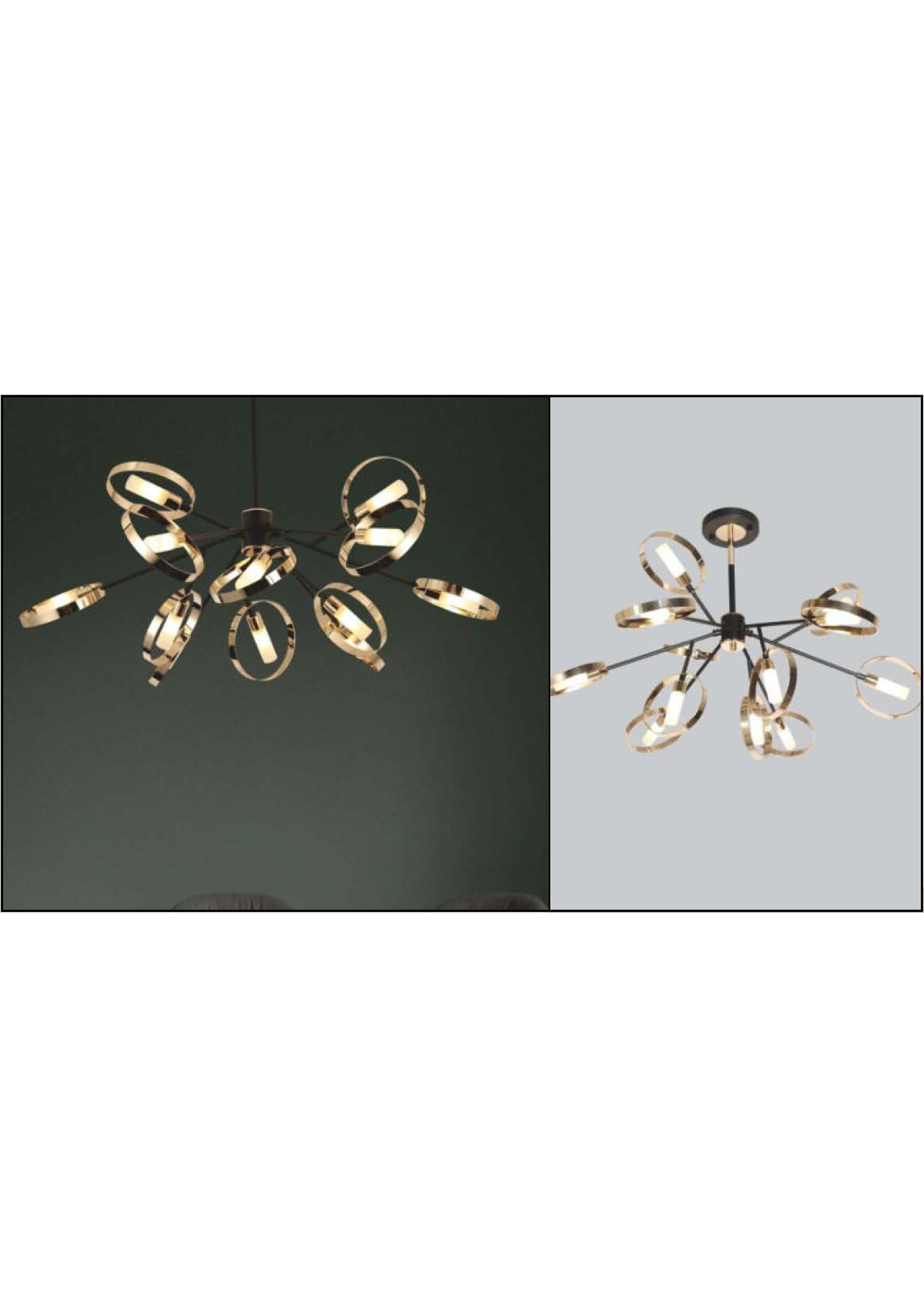 Beyond Lights - Ring Pendant Light- GL